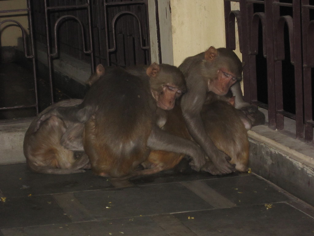 Varanasi hotel opening